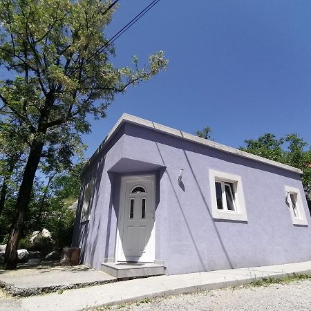 Purple Peace Cetinje Kültér fotó